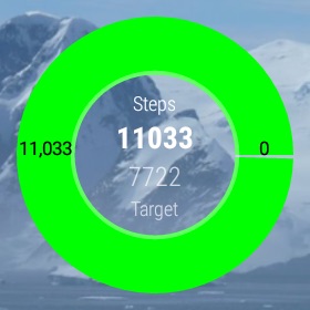 Waddle Step Tracker for Android Wear OS